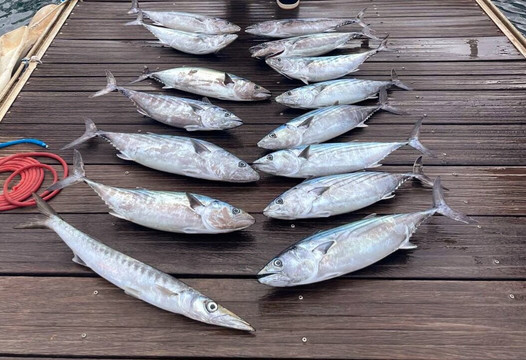 Tortuga Fishing Lanzarote-兰萨罗特必去景点