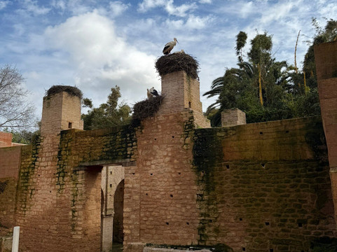 Boutaina-拉巴特必去景点