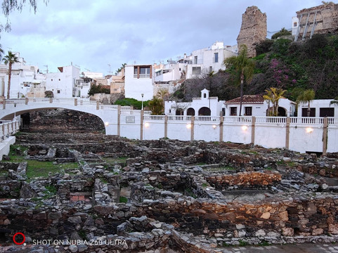 Parque Botanico El Majuelo-阿尔穆涅卡尔必去景点