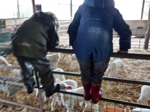 Errington Cheese-Walston必去景点