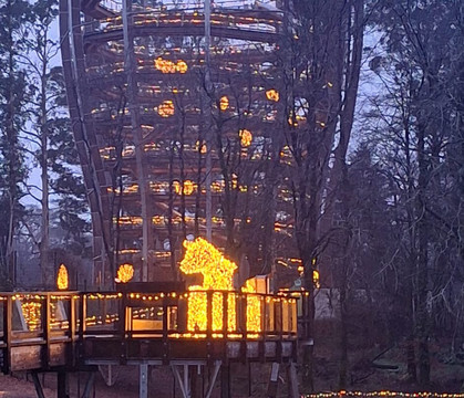 Beyond the Trees Avondale-Rathdrum必去景点