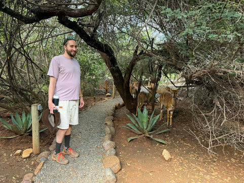 Ukuthula Bush Lodge主图