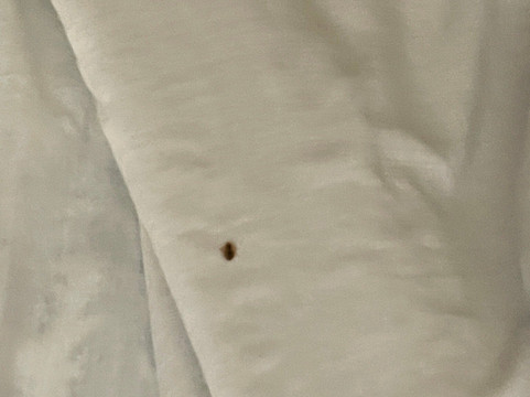 Boarders Inn & Suites In Fayette主图