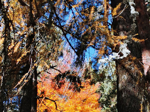 La Cruz De Rubens-埃尔·埃斯科里亚必去景点