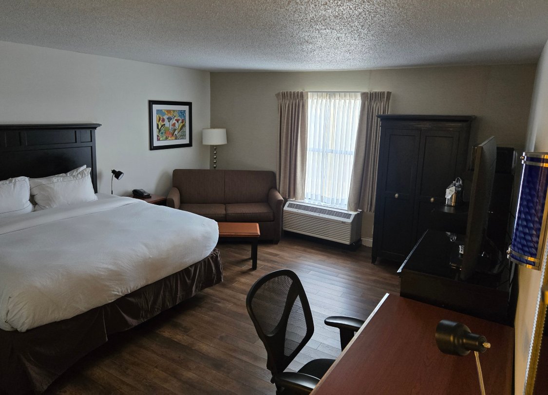 DoubleTree by Hilton Hotel Buffalo - Amherst-客卧