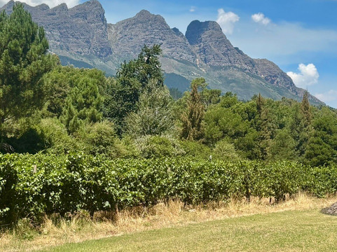 Doolhof Wine Estate-惠灵顿必去景点