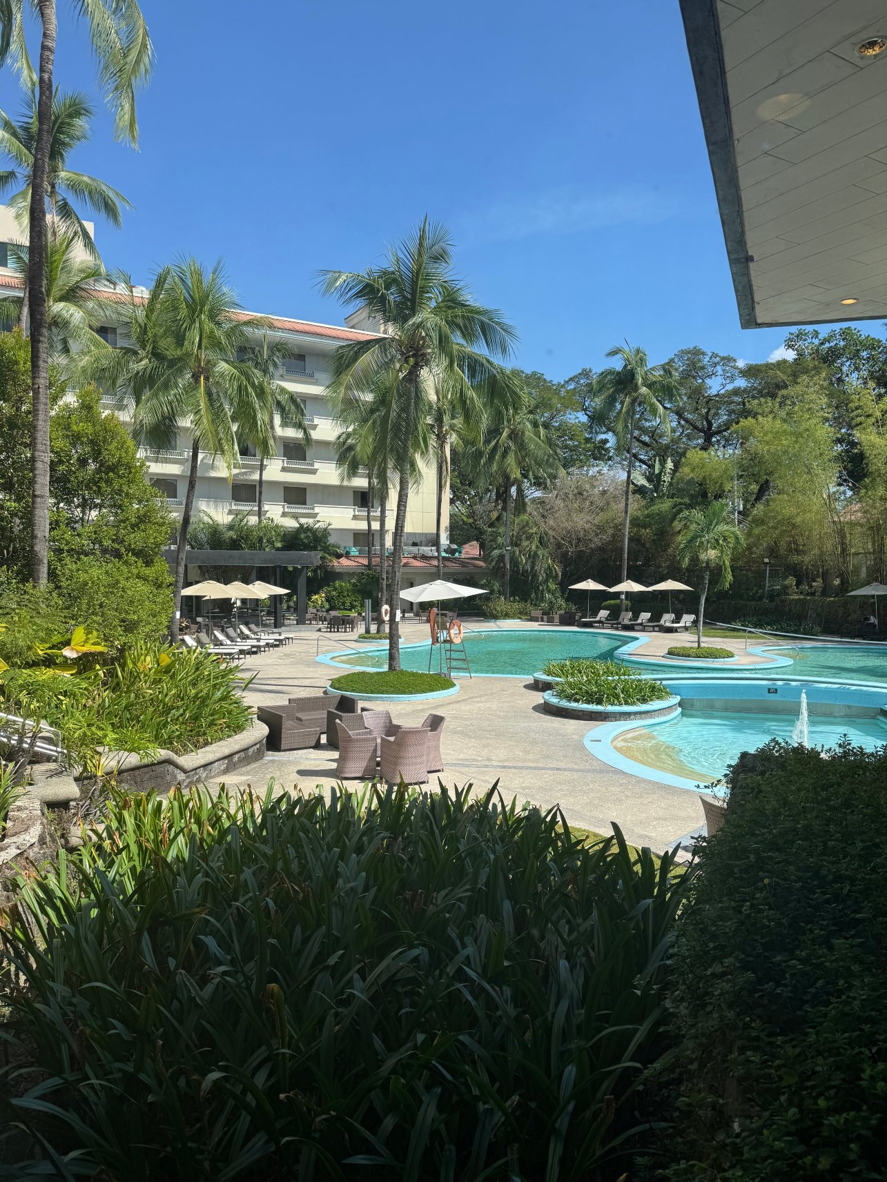 克拉克奎斯特Plus酒店&会议中心-泳池