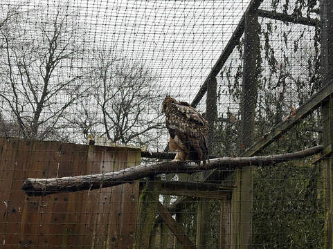 World of Owls-Randalstown必去景点