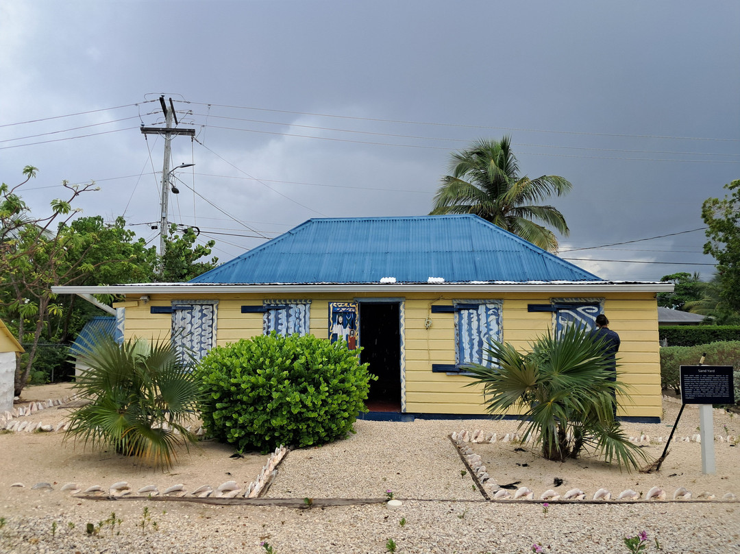 Mind's Eye - The Visionary World of Miss Lassie-乔治城必去景点