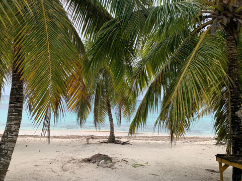 OlympiaOnBoard-Las Galeras必去景点