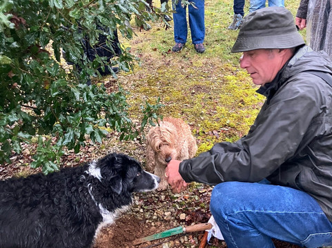 巴斯岛之地旅馆主图
