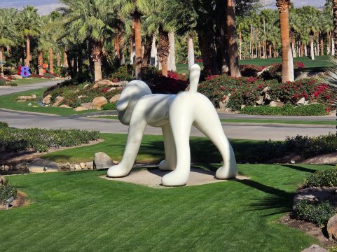 Sensei Porcupine Creek-官方