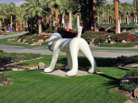 Sensei Porcupine Creek主图