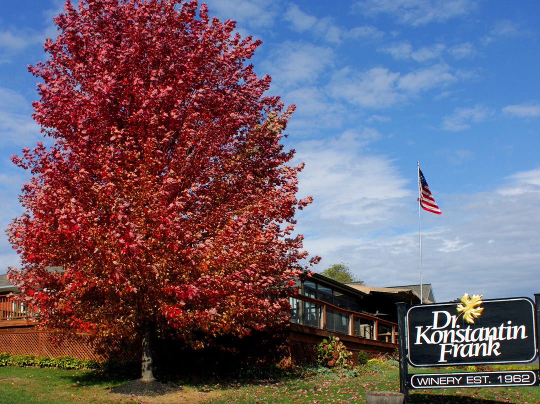 Dr. Konstantin Frank Winery-Hammondsport必去景点