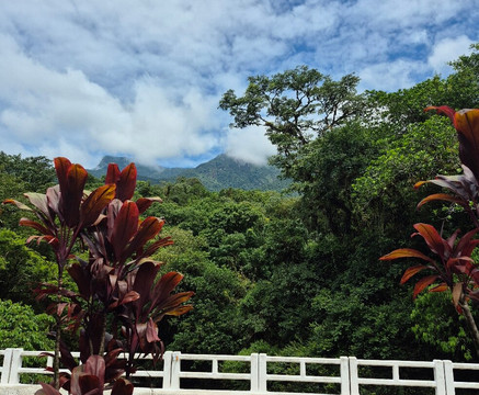 Estrada Da Graciosa-库里提巴必去景点