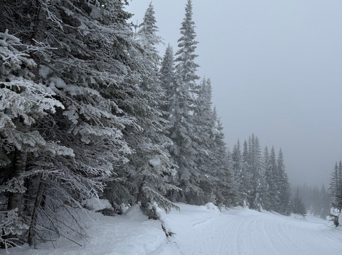 Nord Expe-Sainte Brigitte de Laval必去景点