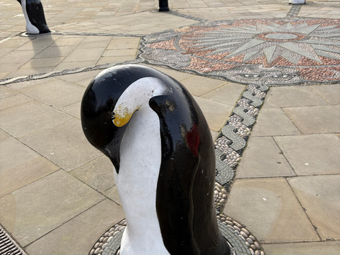 Discovery Point-敦提必去景点