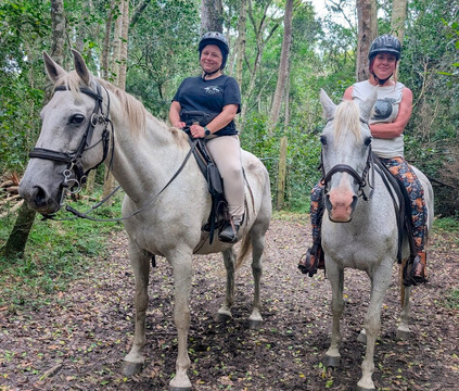 Perdepoort Horse Tails-荒野必去景点