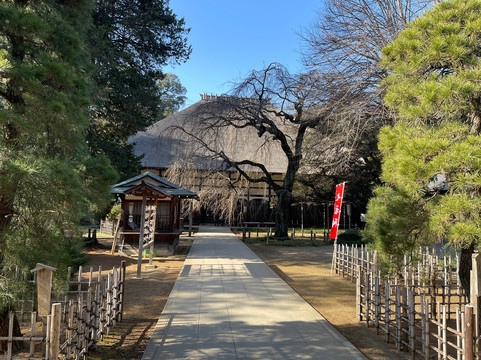 Morinji Temple-馆林市必去景点