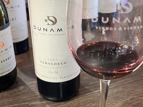 Loja - Dunamis Vinhos & Vinhedos-格拉玛多必去景点