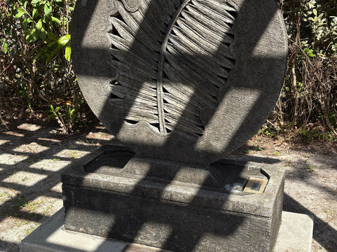 Hugh Taylor Birch State Park-劳德代尔堡必去景点