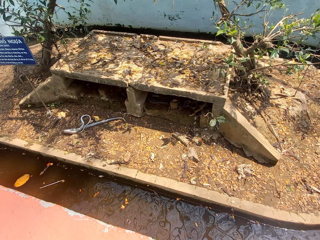 Dong Tam Snake Farm-美拖市必去景点