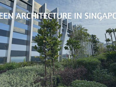 Sarah Lev-新加坡必去景点