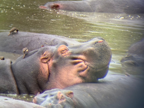 Watatu Travel-阿鲁沙必去景点