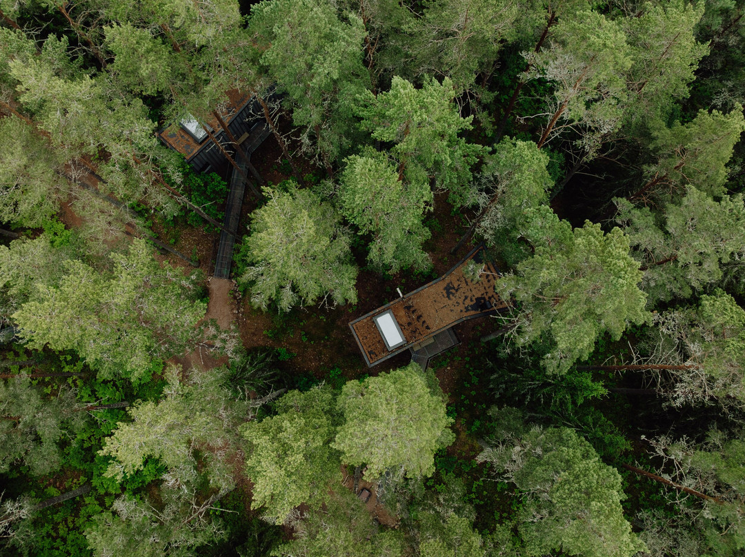 Trakt Forest Hotel主图