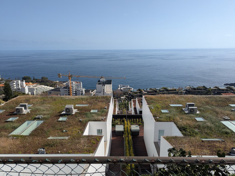 Levada do Piornais-马德拉群岛必去景点