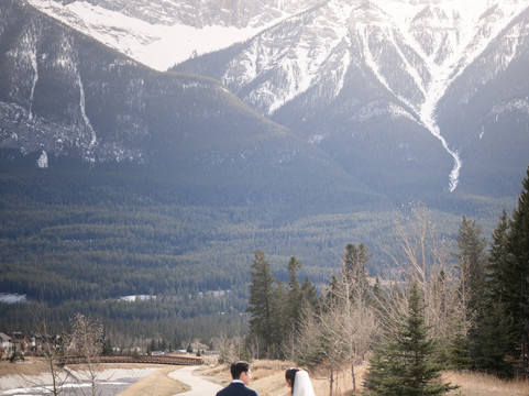 熊及野牛乡村酒店主图