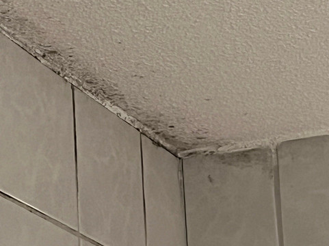 恩斯赫德德布罗艾德餐厅弗莱彻酒店主图