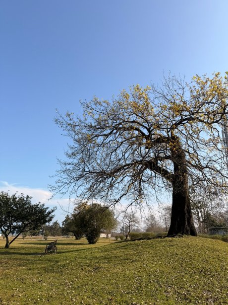 Parsian Khazar Hotel-官方