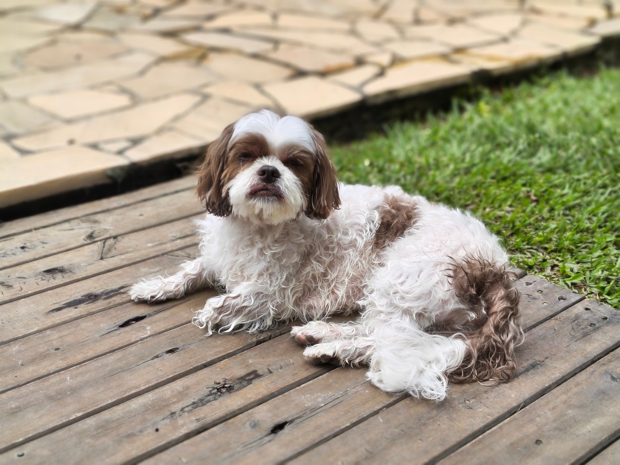 Pousada Gaia Viva-泳池