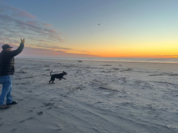 灯塔海滨度假村-官方