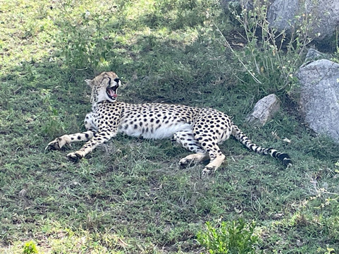 Ajabu Adventures Ltd - Day Tours-阿鲁沙必去景点