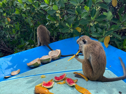 RICHLANKATOURS-科伦坡必去景点