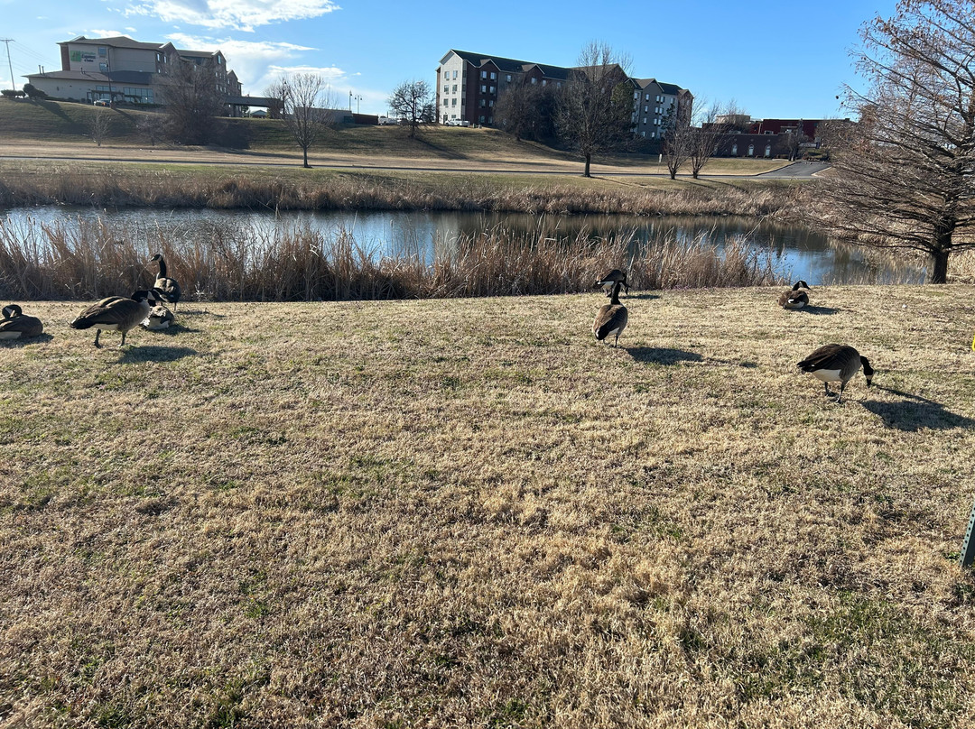图尔萨 - 布罗肯阿罗石溪酒店主图