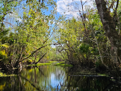 Airboat and Gator Charters-De Leon Springs必去景点