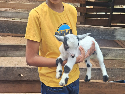 Fazendinha Zoomix-Franca必去景点