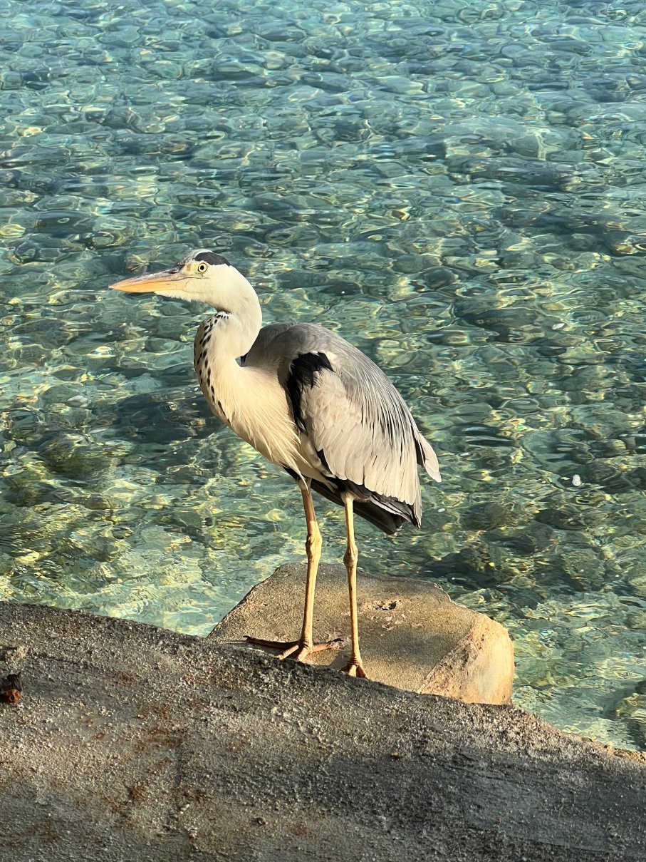 马库努都岛度假村-浴室