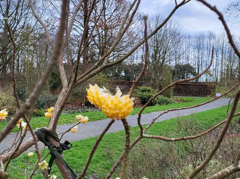 Botanical Garden Arboretum Oudenbosch-Oudenbosch必去景点