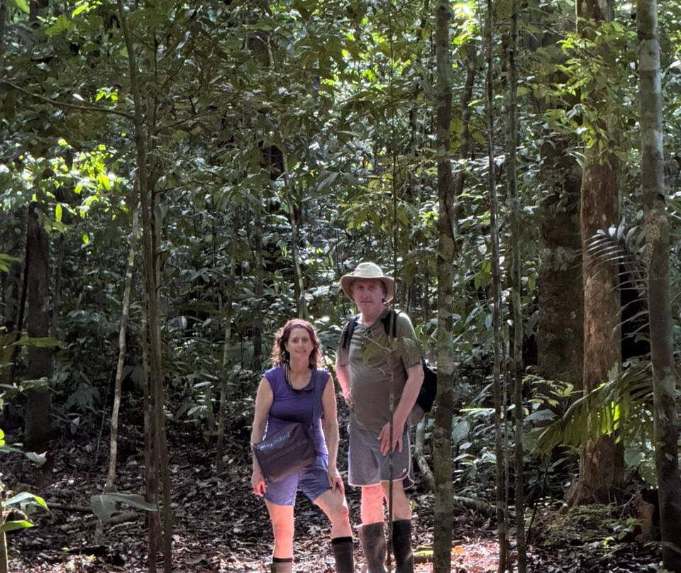 Rainforest Chronicles-希门尼斯港必去景点