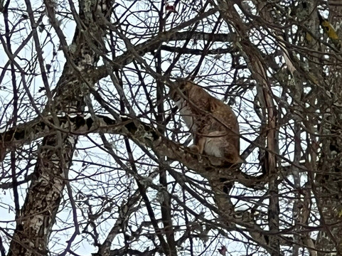 Elistvere Animal Park-Tabivere必去景点