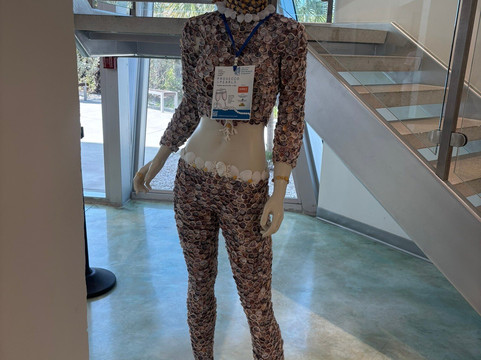 The Bailey-Matthews National Shell Museum & Aquarium-萨尼贝尔岛必去景点