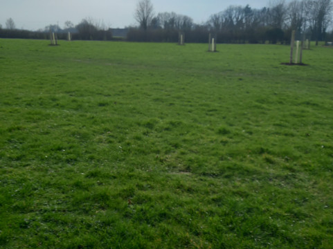 Frampton Court Estate-Frampton on Severn必去景点