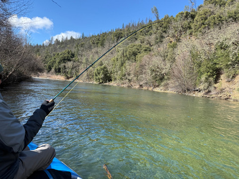 49er Gold Country Inn主图