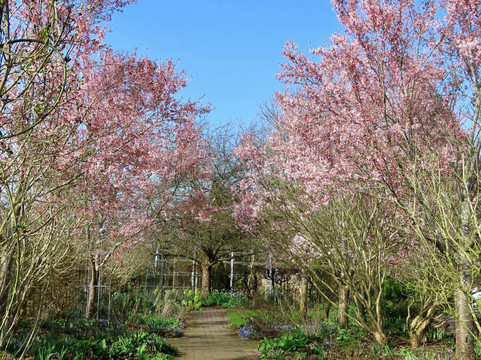 RHS Garden Wisley-Wisley必去景点
