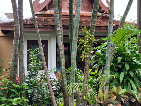 安娜瓦娜海滩度假村主图