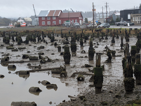 Coos History Museum-库斯贝必去景点